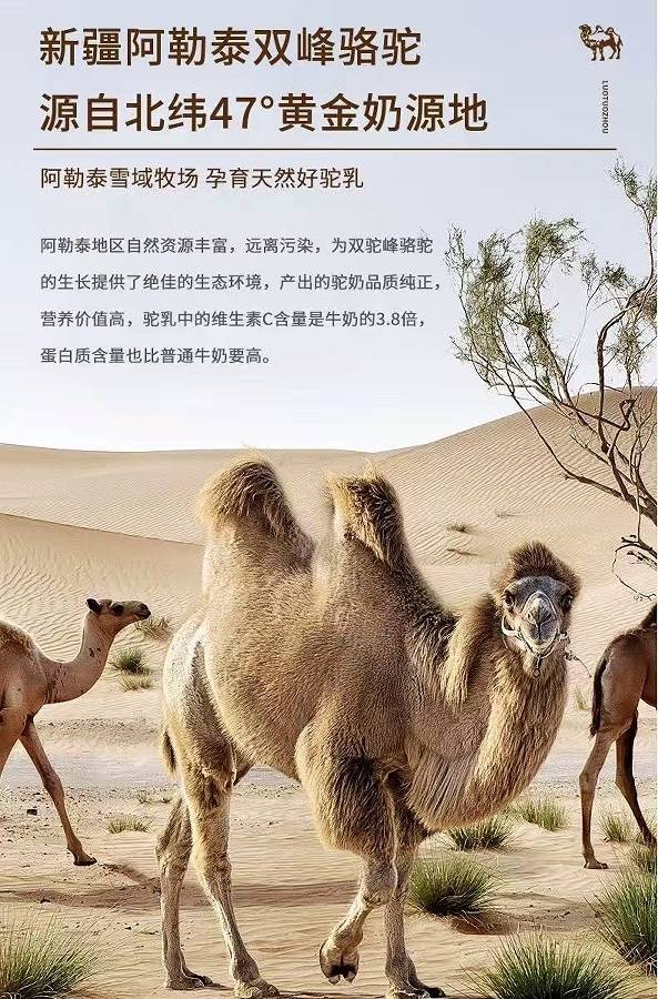 駝奶粉品牌推薦，2025駝奶粉哪個品牌正宗？100%純度