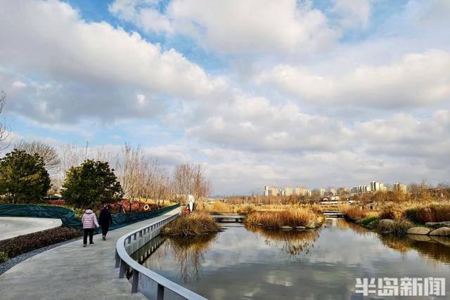 張村河畔夕照垂釣，暖冬繪就生態新景