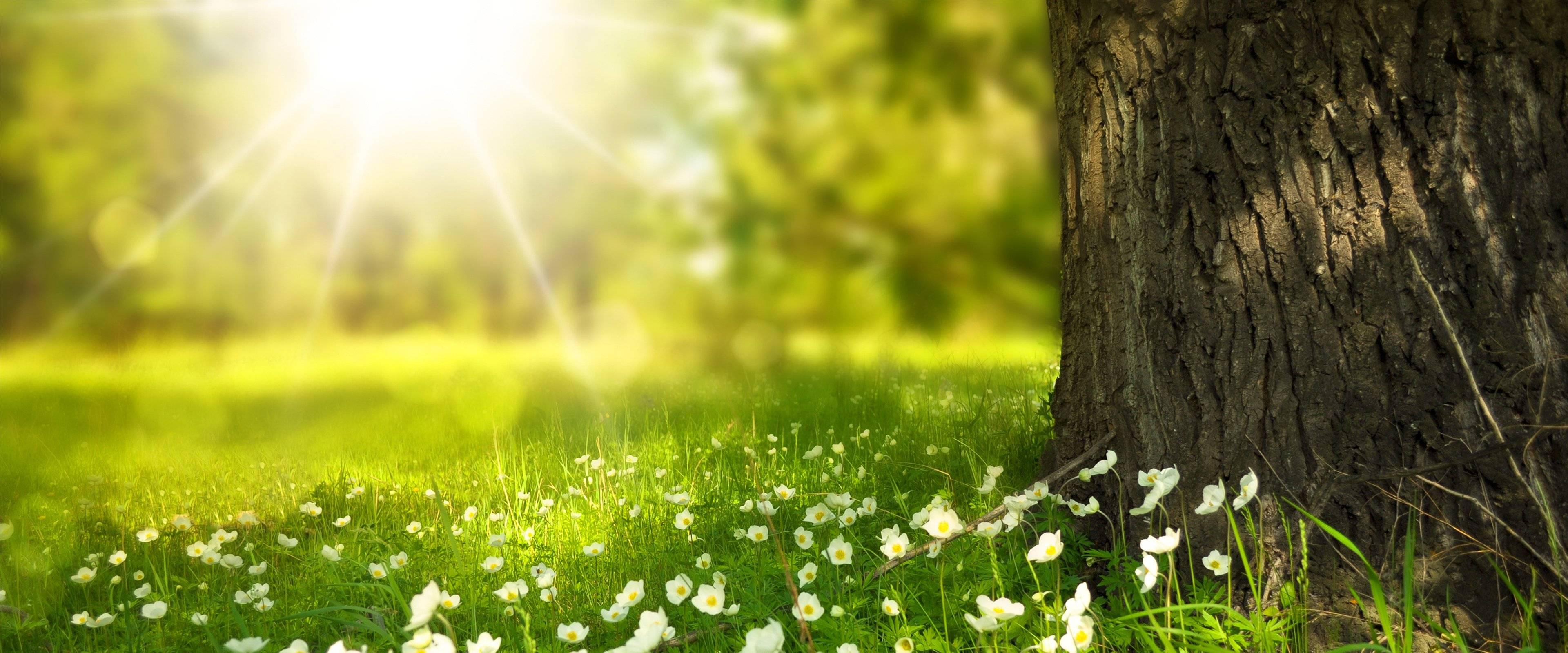 武漢大學在職研究生