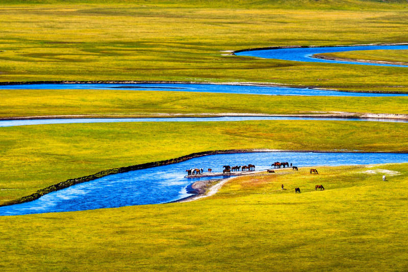2025影像盤點 | 與山河同呼吸——攝影師 張雲霞