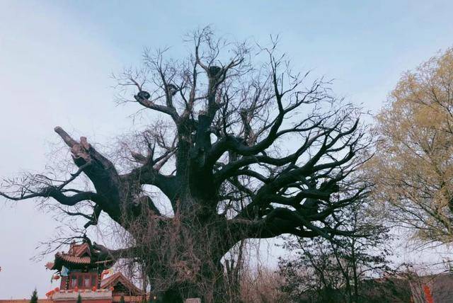 原創清朝人潘倫恩，記錄的3件事奇聞異事！