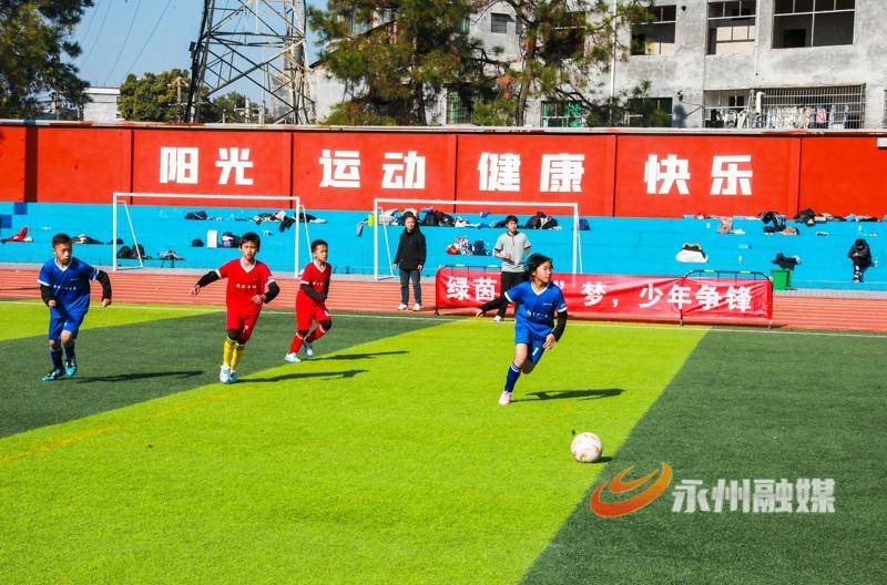 “鄉村希望足球”點燃綠茵夢想 新田縣小學生足球聯賽火熱開賽