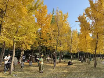 收藏！在泉城坐著地鐵逛公園最新攻略來啦